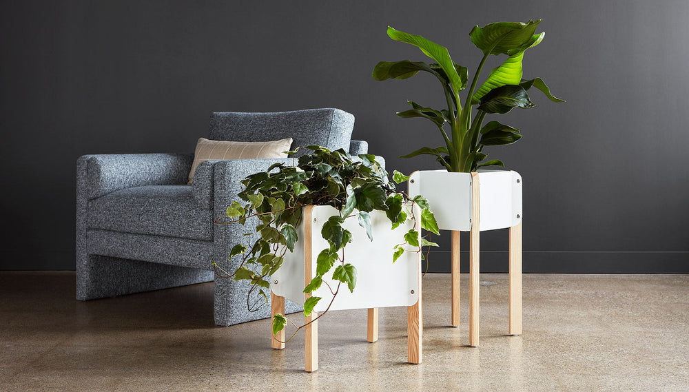 
                  
                    Atrium Planters / Lifestyle
                  
                